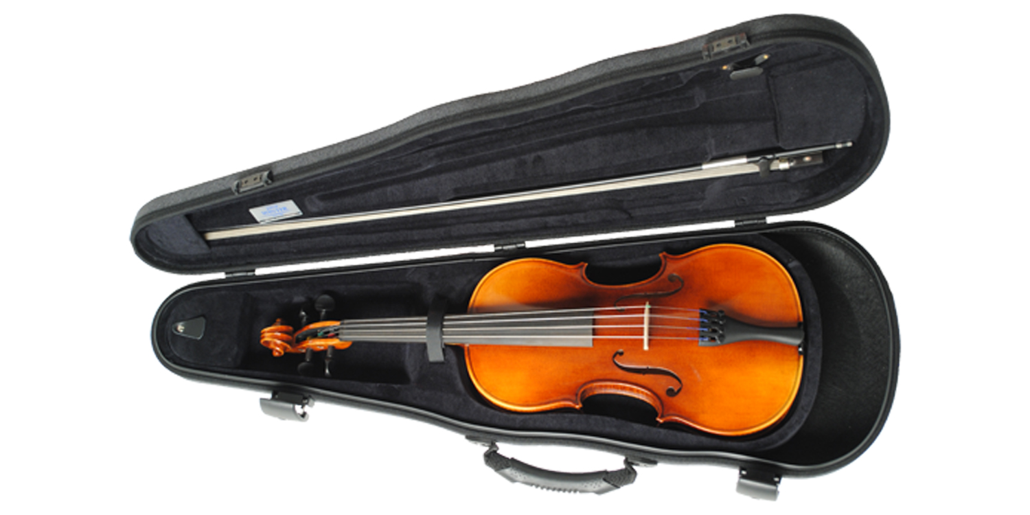 Paesold Violin Outfit